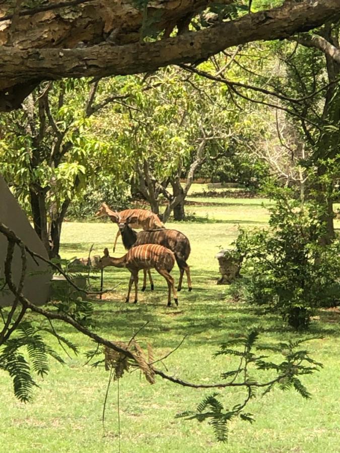 Jock Of The Bushveld Hotel Barberton Kültér fotó